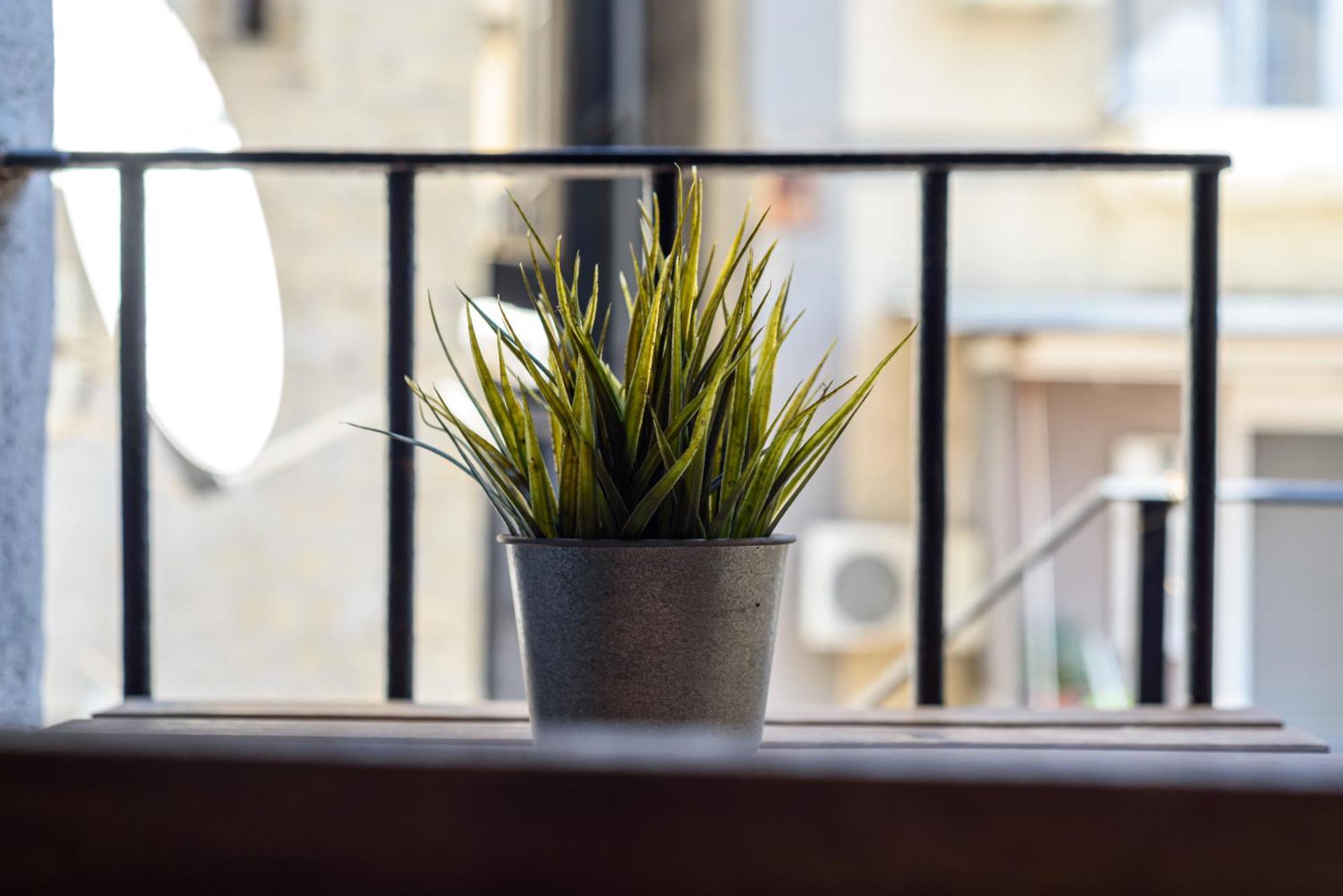 Apartamento La Terrazzina Sul Porto Nápoles Exterior foto
