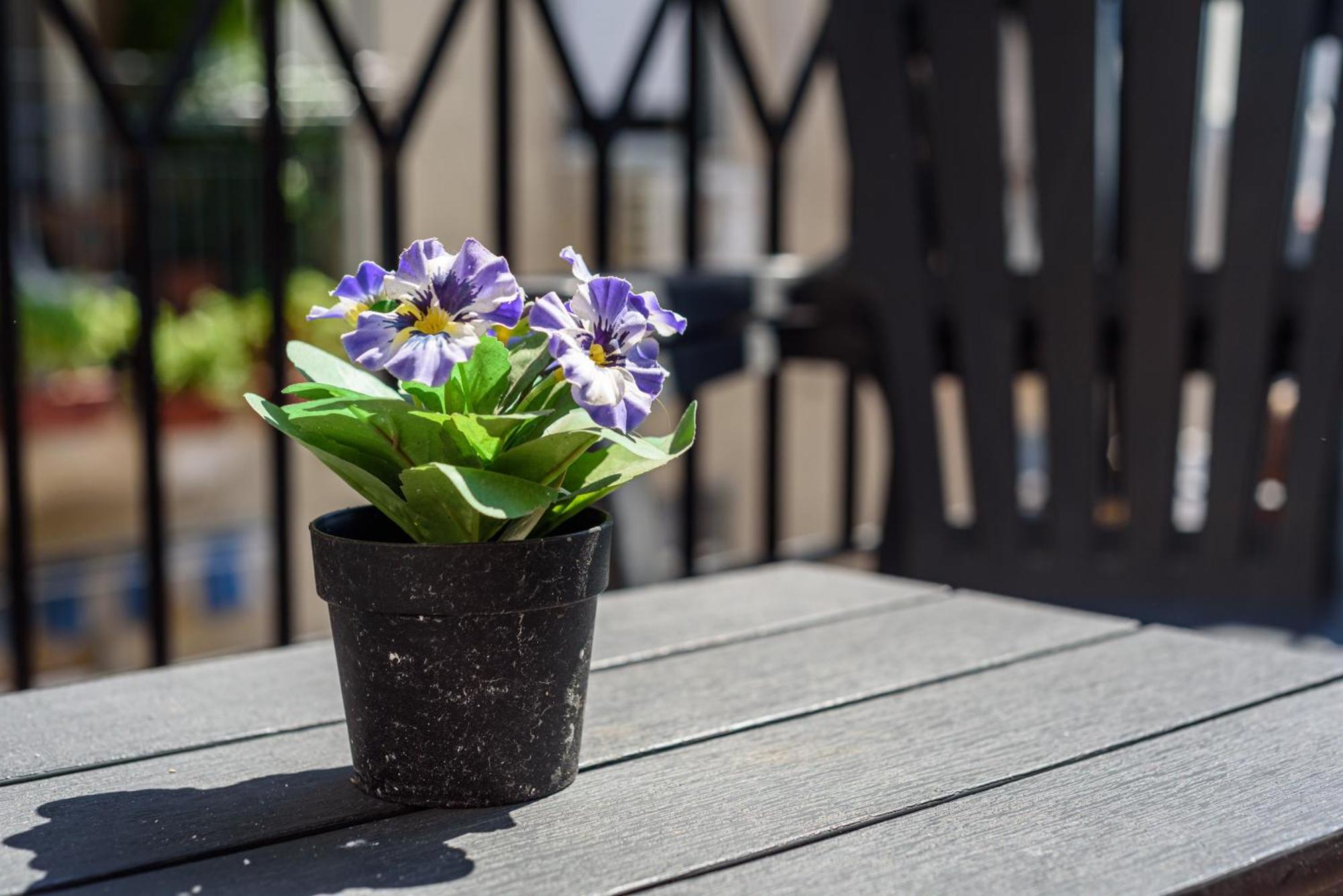 Apartamento La Terrazzina Sul Porto Nápoles Exterior foto